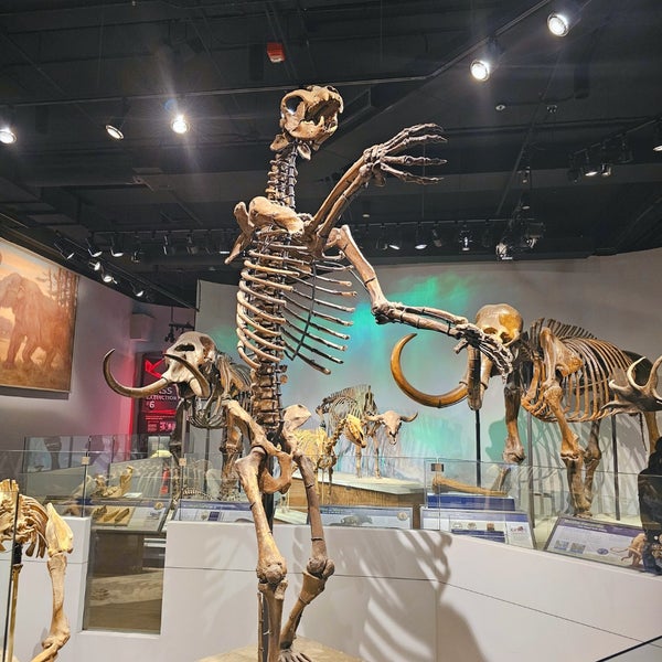 Foto tomada en Museo Field de Historia Natural  por Jt T. el 12/28/2023