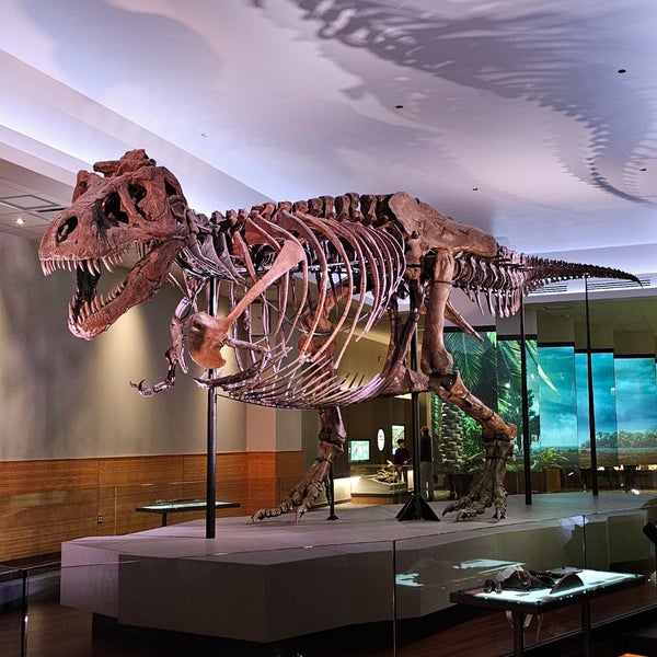 Photo taken at The Field Museum by Jt T. on 12/27/2023
