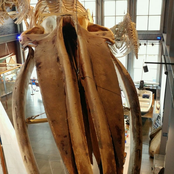 Foto tomada en New Bedford Whaling Museum  por Jt T. el 5/13/2017