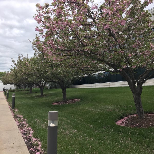 Johnson & Johnson ITS Office in Raritan