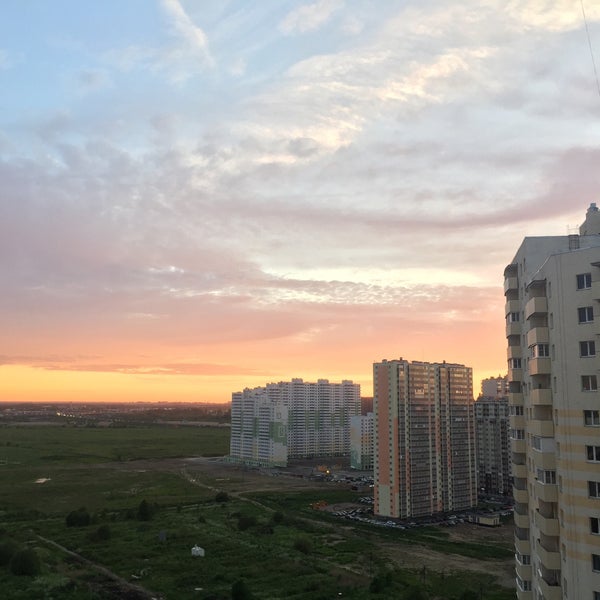 вишня тургеневка фото дерева. отрадное калининградская обл. дома в отрадном ленинградской. линия отрадное. продажа участков в отрадном кировский район 11 линия.