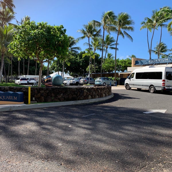Das Foto wurde bei Waikiki Aquarium von y t. am 11/25/2019 aufgenommen