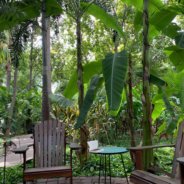 รูปภาพถ่ายที่ Jardín Botánico Culiacán โดย VeronicaEM เมื่อ 2/8/2020