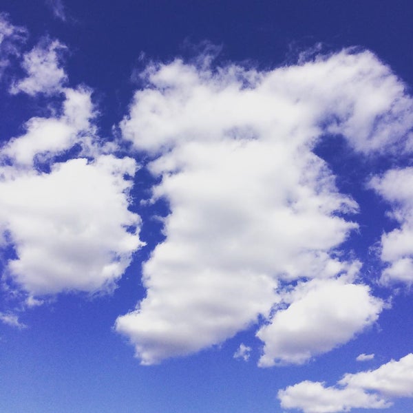 8/14/2015にmarat Z.がGorky Parkで撮った写真