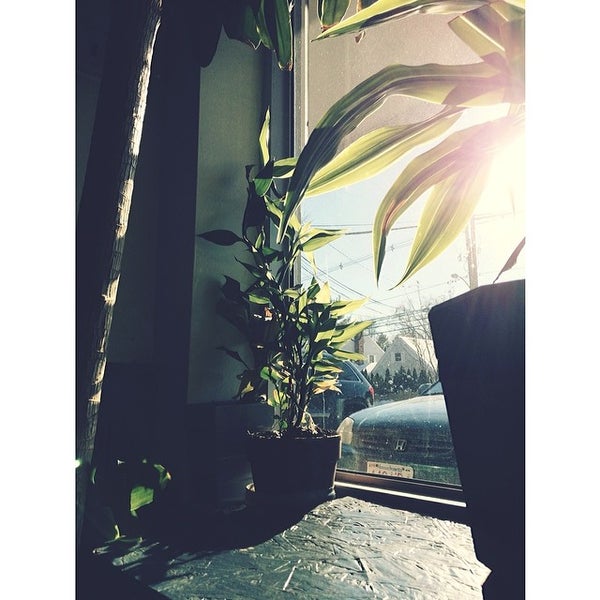 Rice Cube Thai Kitchen 397 Lowell Street