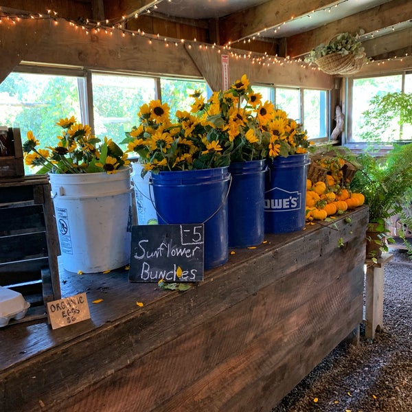Photo taken at Blooming Hill Farm by Betsy L. on 9/29/2019