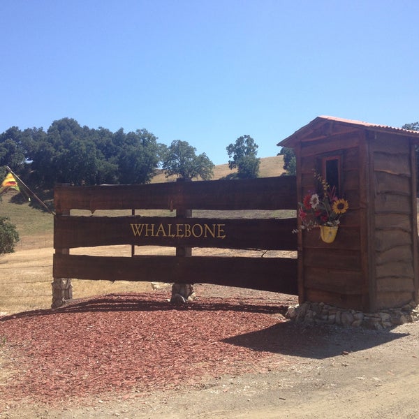 Photos at Whalebone Winery Paso Robles CA