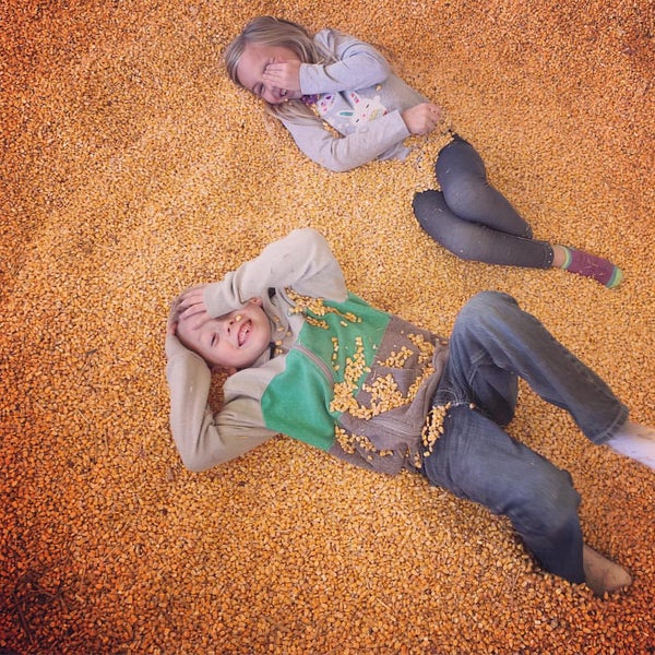 Снимок сделан в Sever&#39;s Corn Maze &amp; Fall Festival пользователем Malorie L. 10/4/2015