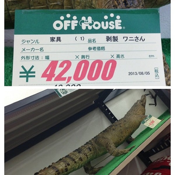 オフハウス 新潟女池店 Furniture Home Store In 新潟市 オフハウス 新潟女池店 Furniture Home Store In 新潟市