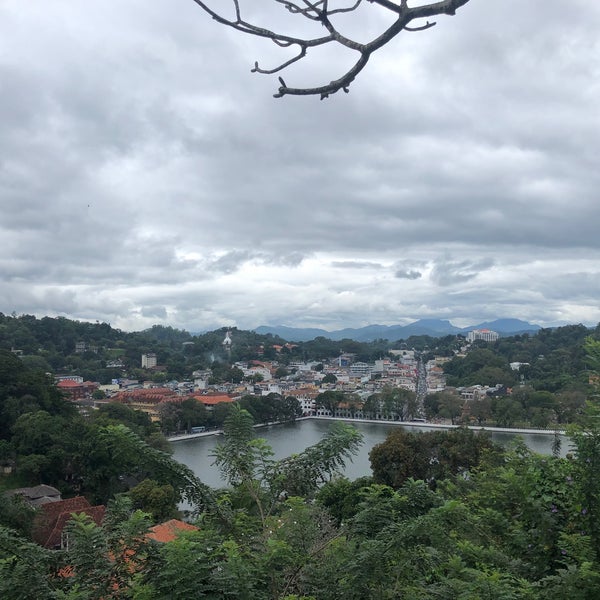 Dame Mosen College Pov