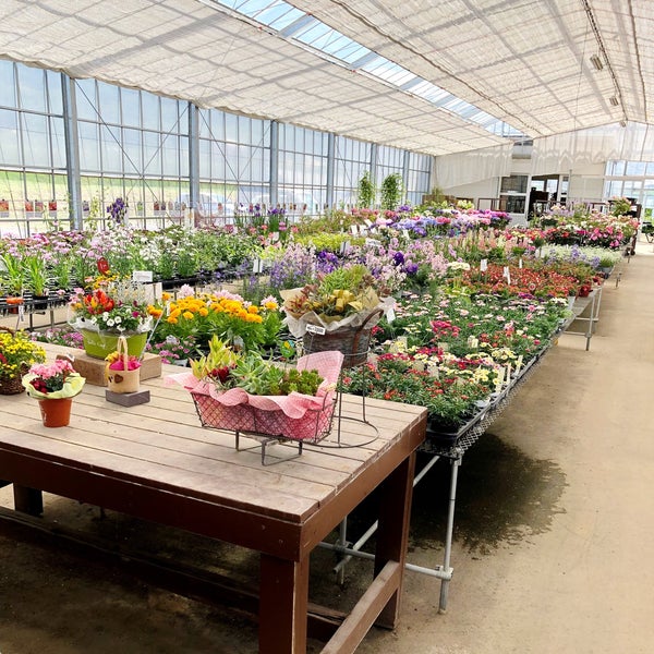おぎはら植物園 上田店 芳田1193