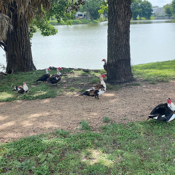 Murphy Park Lake in Taylor