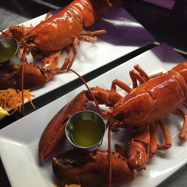 Lobster special