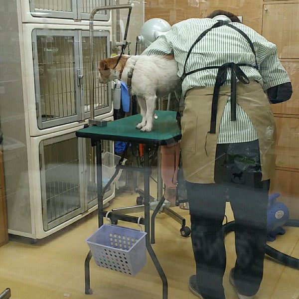 ホームセンター コーナン 江東深川店 江東区 Da Hirdavat Magazasi Da Fotograflar