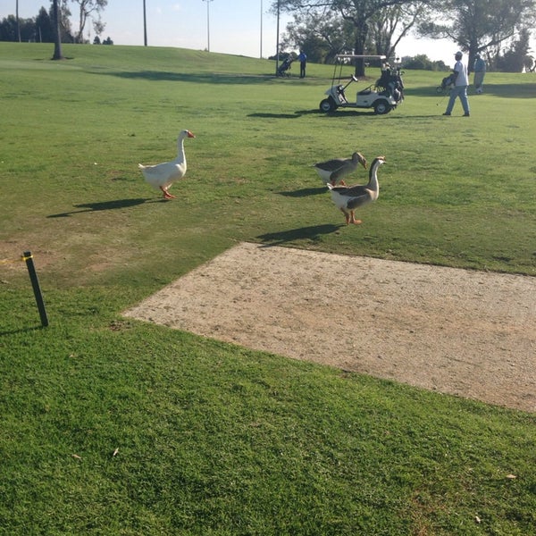 Das Foto wurde bei Westchester Golf Course von Ed E. am 3/13/2014 aufgenommen