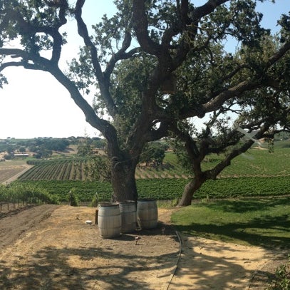 Photo taken at Stolpman Vineyards - Los Olivos Tasting Room by Stephany Z. on 8/6/2014