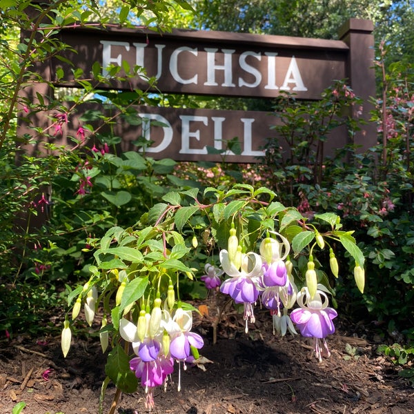Photo taken at Fuchsia Dell by Andrew W. on 6/16/2020