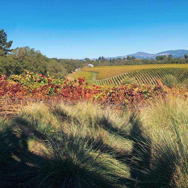 Foto tirada no(a) MacRostie Winery &amp; Vineyards por Nicholas F. em 10/13/2018