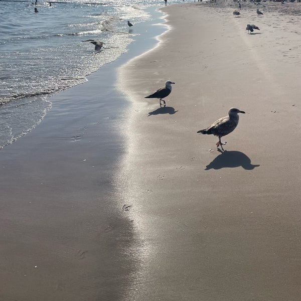Photo taken at Coney Island Beach &amp; Boardwalk by Zlata G. on 9/10/2023