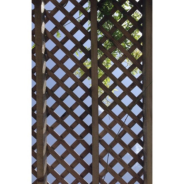 Mountain Grounds Coffee and Tea Co 1 tip from 171 visitors