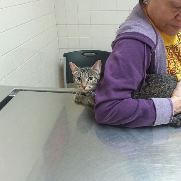 Arizona Avenue Animal Clinic 7 W Knox Rd