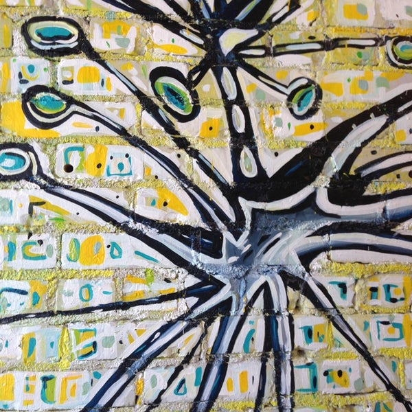 Lorca Coffee Shop in Stamford