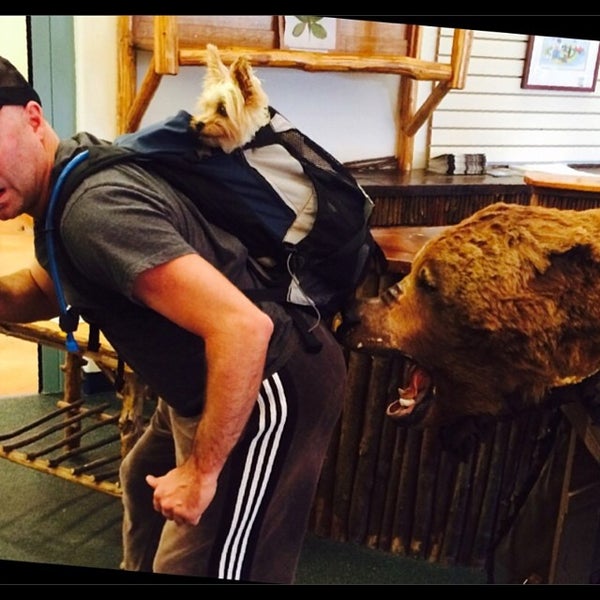รูปภาพถ่ายที่ Big Bear Discovery Center โดย Paul J. เมื่อ 5/6/2014