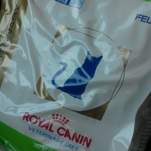 AL LYNN ANIMAL HOSPITAL Veterinarian