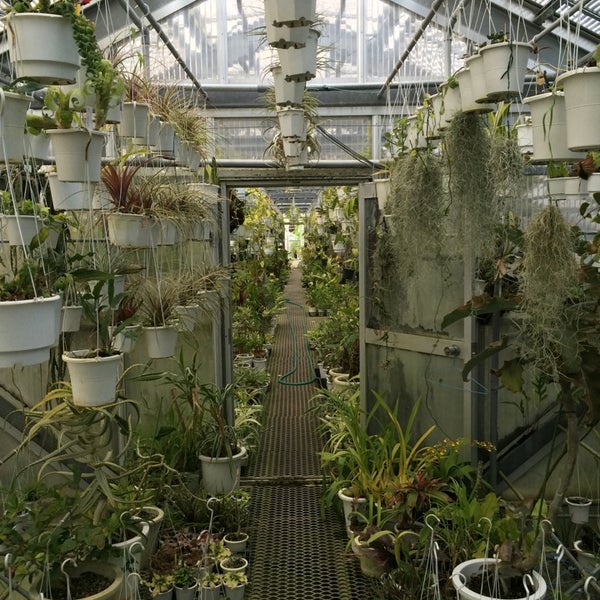 Photos At 花宇