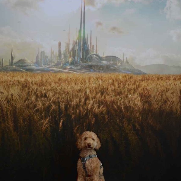 Ops Building 1 - 2 tips from 235 visitors