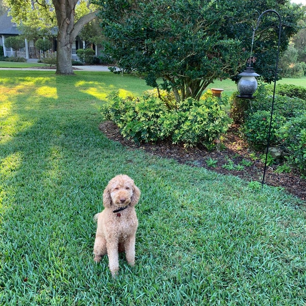 Gotha, FL 6 tips from 572 visitors