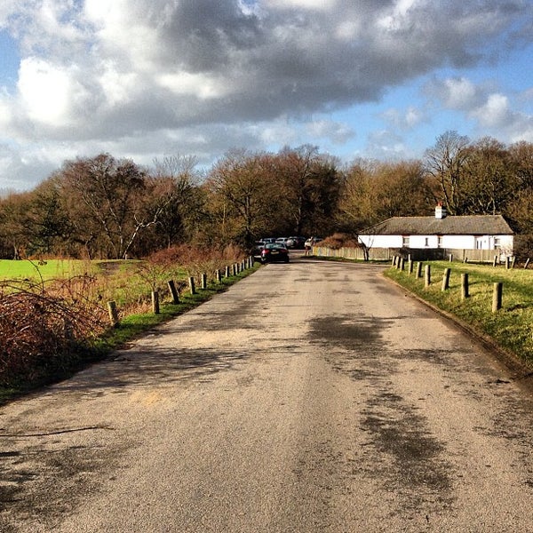 Wimbledon Common Wandsworth 32 tips from 1891 visitors