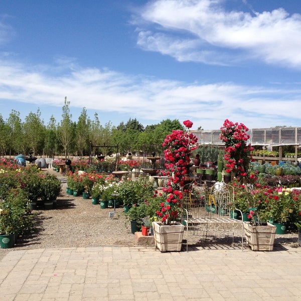 Plant World Flower Store in Albuquerque