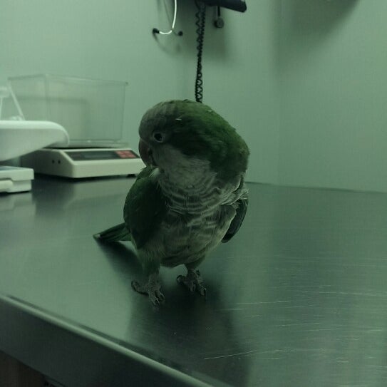 Das Foto wurde bei The Center For Avian &amp; Exotic Medicine von Javier A. am 5/10/2014 aufgenommen