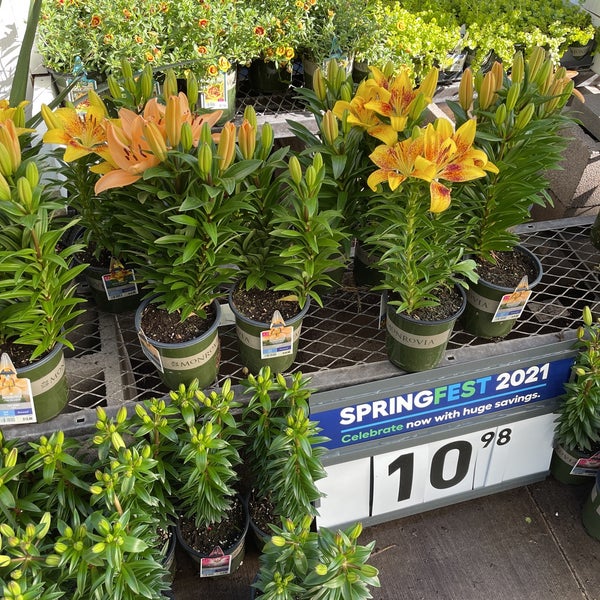 Lowe's Hardware Store