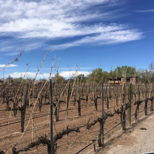 Photo taken at Casa Rondeña Winery by Gerald H. on 3/24/2016