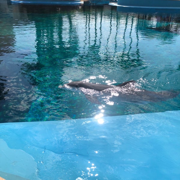 Photo taken at Siegfried &amp; Roy&#39;s Secret Garden and Dolphin Habitat by Shannon L. on 5/13/2019