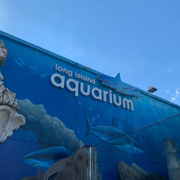 Photo prise au Long Island Aquarium &amp; Exhibition Center (Atlantis Marine World) par Mike F. le9/26/2021