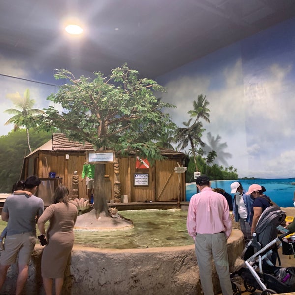 Photo prise au Long Island Aquarium &amp; Exhibition Center (Atlantis Marine World) par Mike F. le9/26/2021