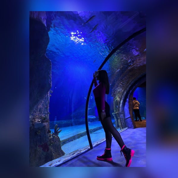 Foto tirada no(a) Funtastic Aquarium İzmir por Надия em 12/25/2022