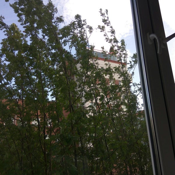 Мурманск ул. Мурманск, улица книповича, д. Буркова 17а. Буркова 17а. Буркова 17а.