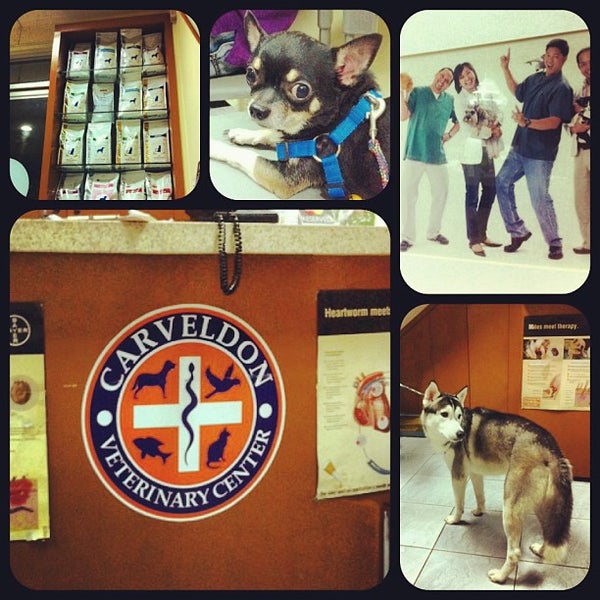 cartimar veterinary clinic