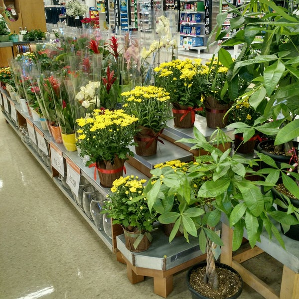 Zehrs Flowers Kitchener Ontario Best Flower Site