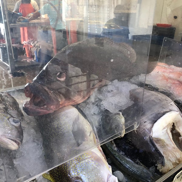 Katie's Seafood Market Fish Market in Galveston Harbor