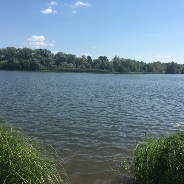 Барковка Пенза Купить