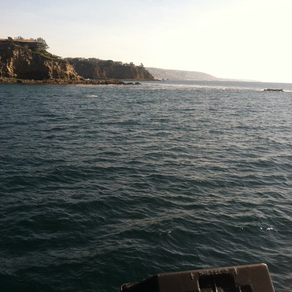 2/8/2014にNorma J.がNewport Landing Whale Watchingで撮った写真