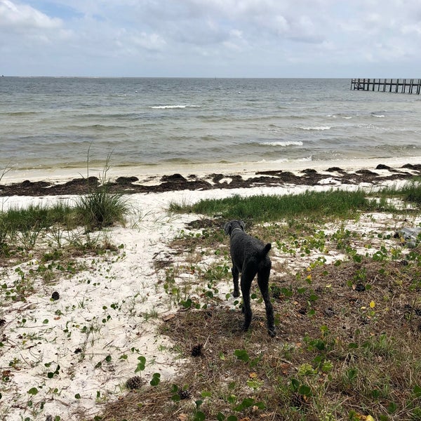 St Teresa Beach Carrabelle, FL