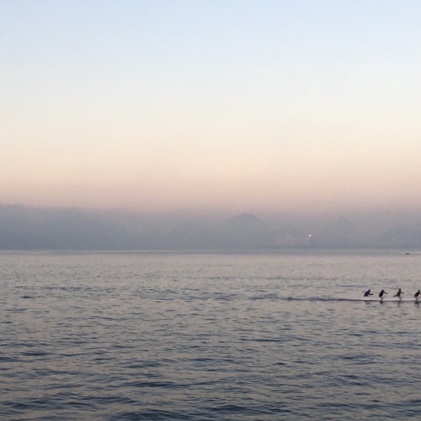 Campus da Praia Vermelha 23 dicas de 1348 clientes