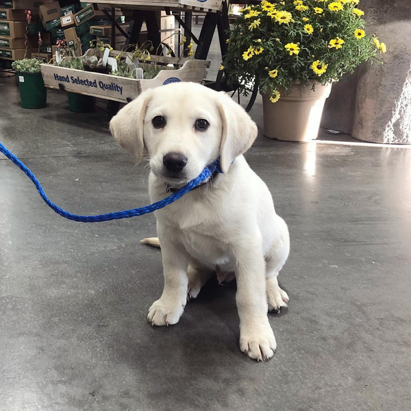 Garber Hardware Hardware Store in New York