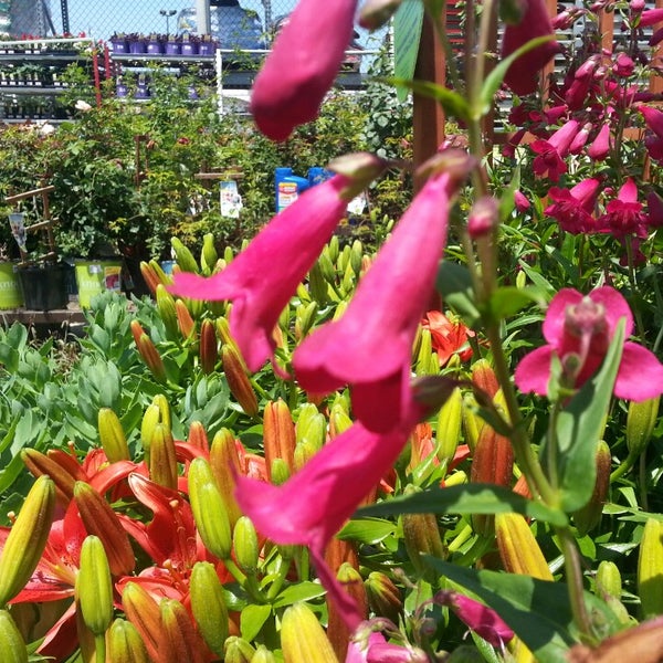 Lowes Chattanooga Hixson - the-dead-of-night